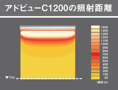 ���ƥ�ޥ��ɥХ󥹡����ɥӥ塼C