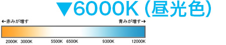 6000K